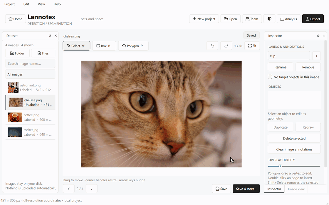 Drawing two boxes and a polygon on a cat photo in Lannotex, then saving and moving to the next image